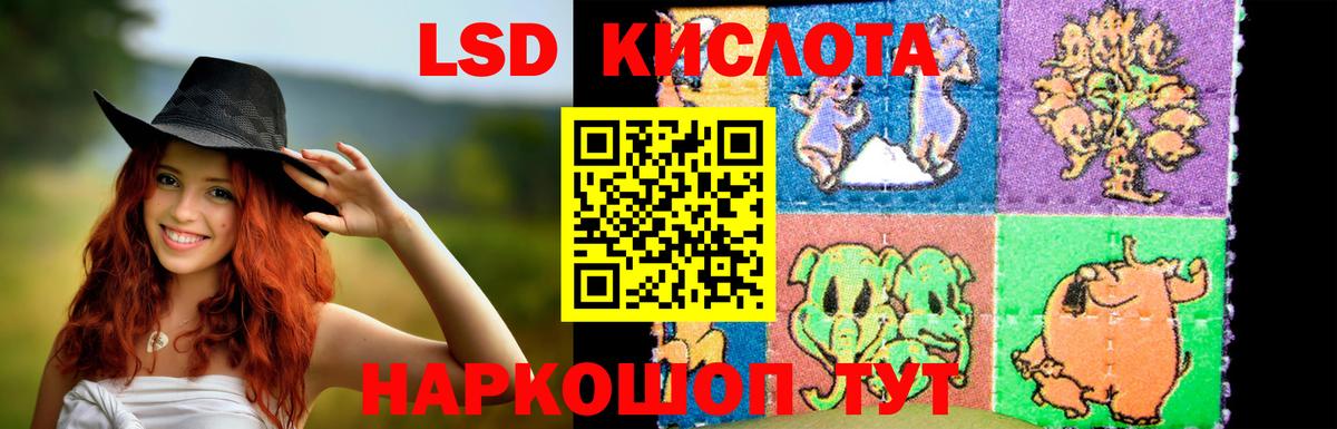 Новозыбков  Лсд 25 экстази кислота  Лсд 25 экстази  Вход с VPN  ЛСД экстази ecstasy 